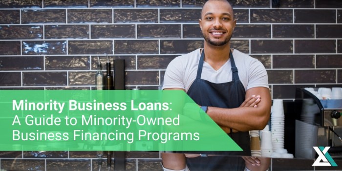 Minority-owned business startup loans