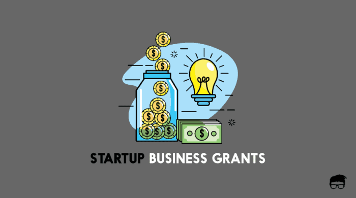 Small business startup grants