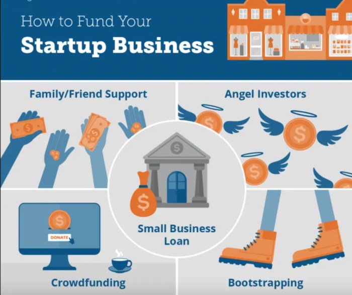 Venture loans for startups