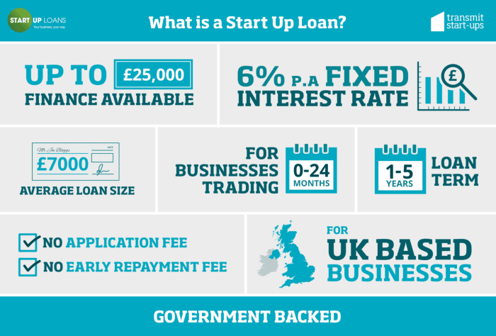 Startup loan interest rates