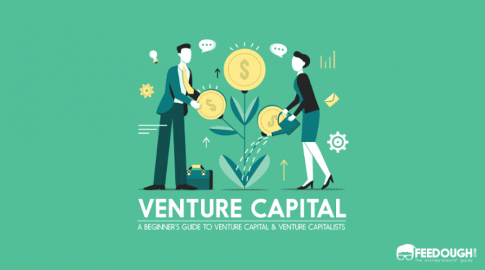 Venture capital for startups