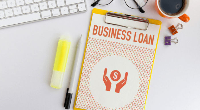 Low-interest business startup loans