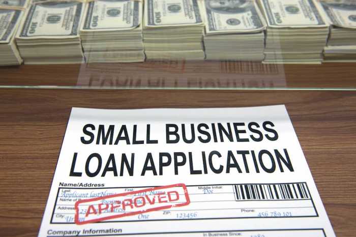 Bank startup business loans