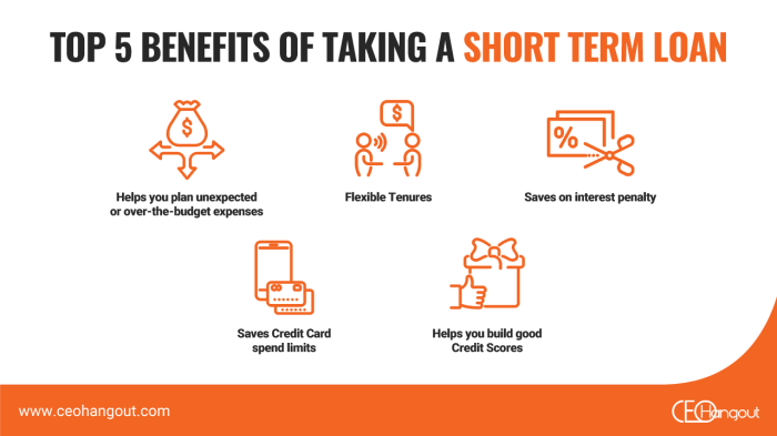 Short-term startup loans