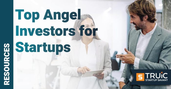 Angel investors for startups