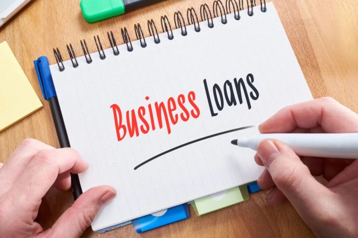 Online startup business loans