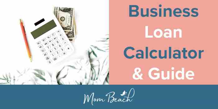 Business loan calculator for startups