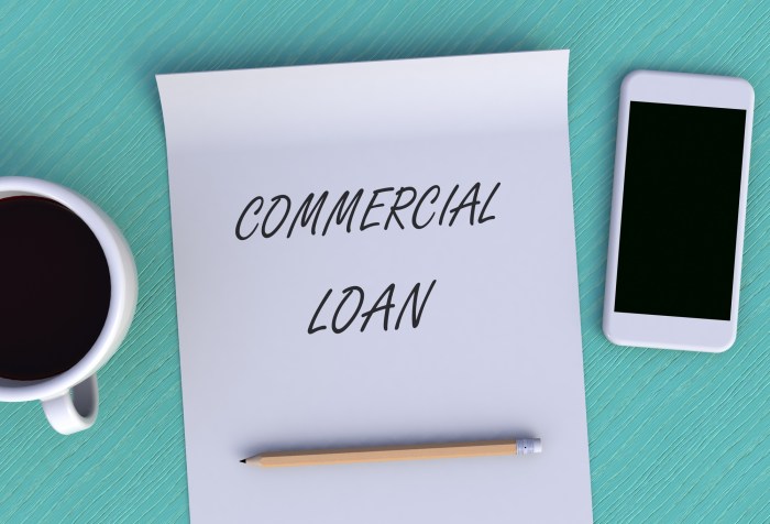 Commercial loans for startups