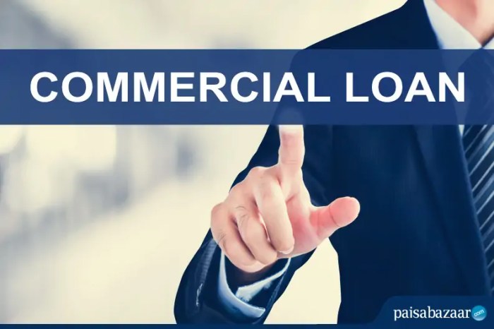 Commercial loans for startups