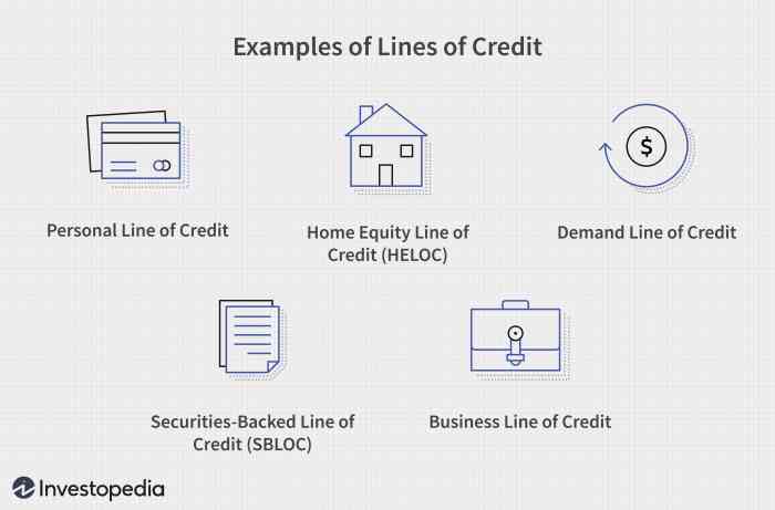 Startup line of credit