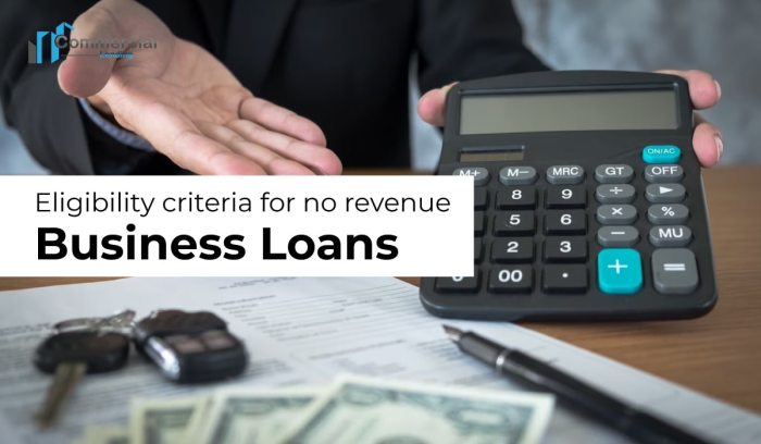 No revenue business loans