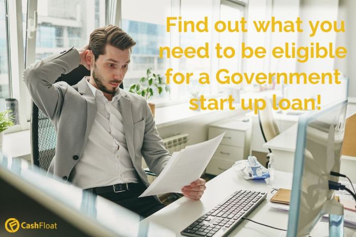 Government startup loans