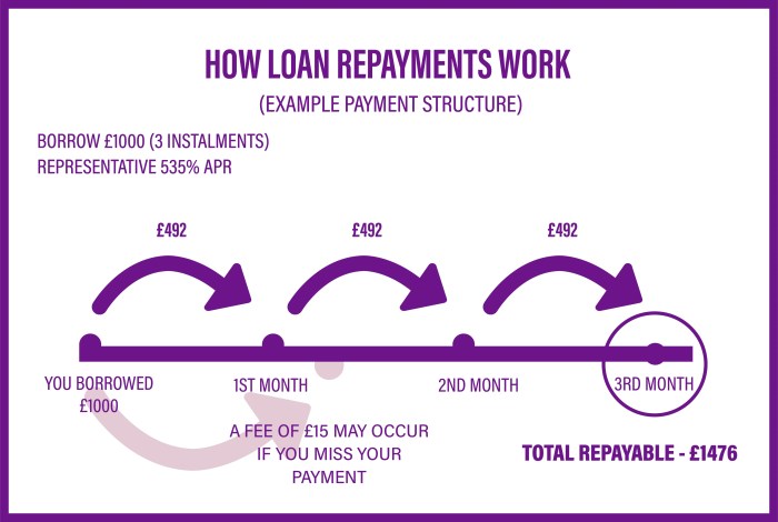 Flexible repayment startup loans