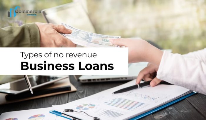 No revenue business loans