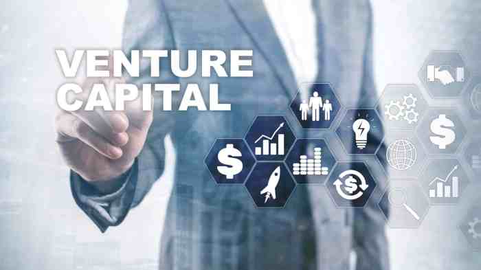 Venture capital for startups